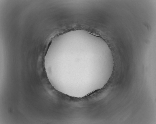 X0000113330144200910051154