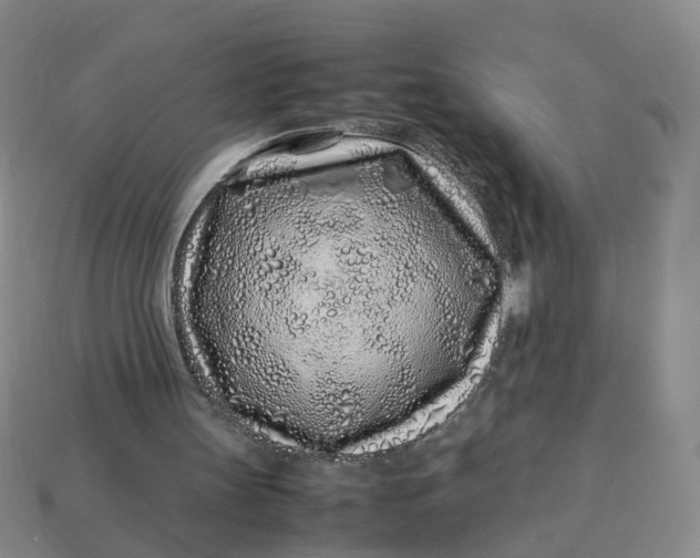 X0000113330147200910051153