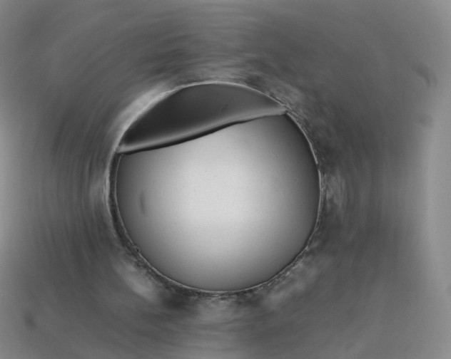 X0000113330148200910051153