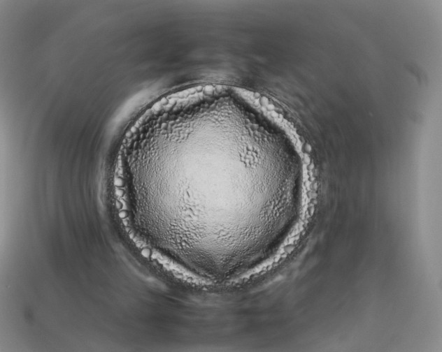 X0000113330149200910051153