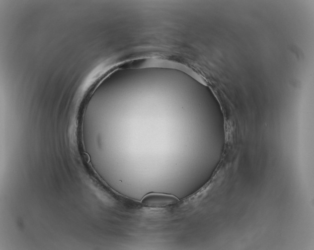 X0000113330150200910051153