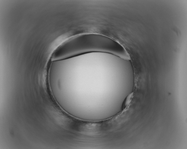 X0000113330152200910051153