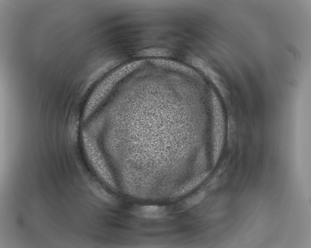 X0000113330153200910051153