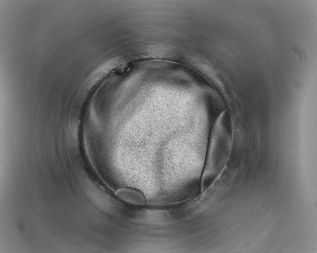 X0000113330154200910051153