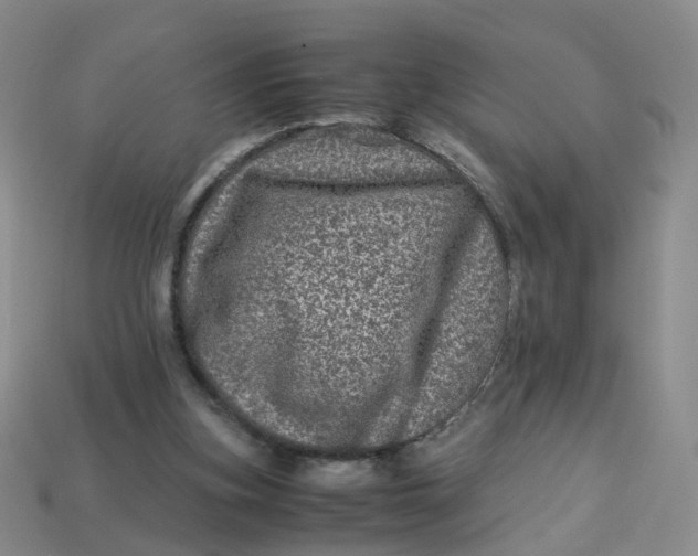 X0000113330155200910051153