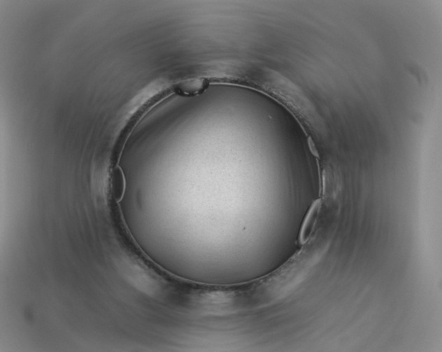 X0000113330156200910051153