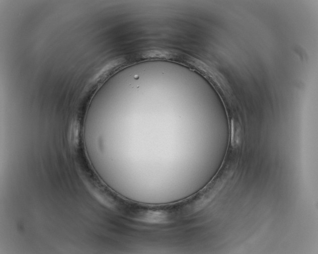 X0000113330157200910051153