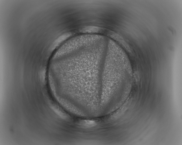 X0000113330159200910051153