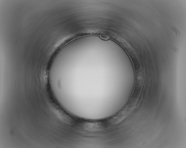 X0000113330160200910051153