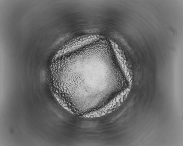 X0000113330161200910051153