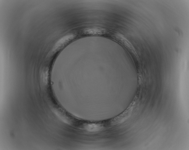 X0000113330163200910051153