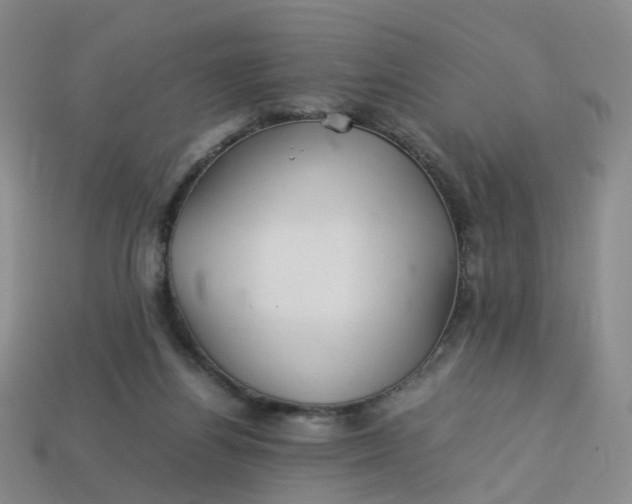 X0000113330164200910051153