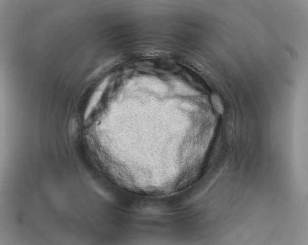 X0000113330165200910051153