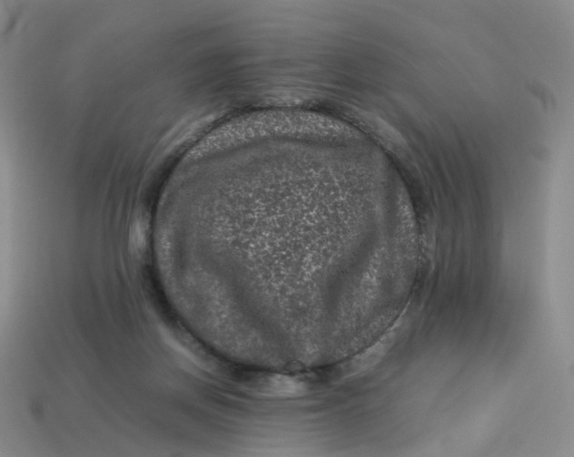 X0000113330166200910051153
