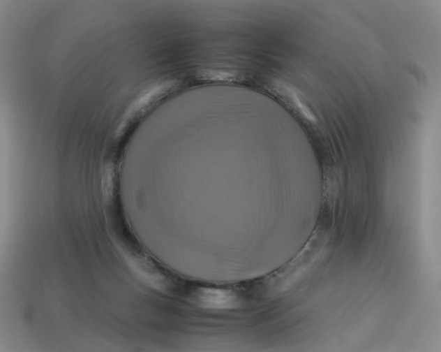 X0000113330167200910051153