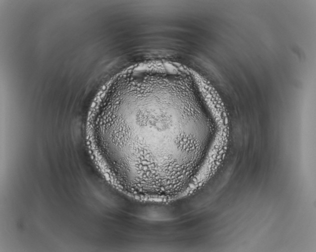 X0000113330169200910051153