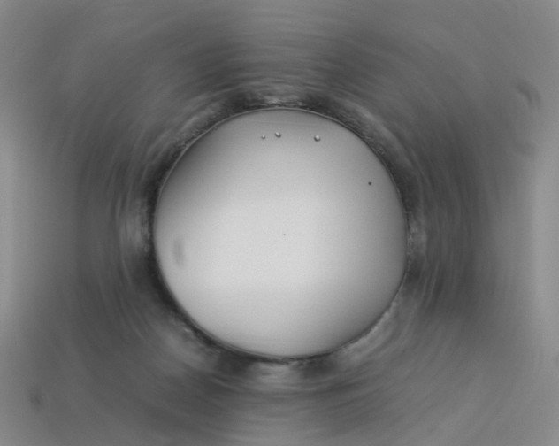 X0000113330170200910051153