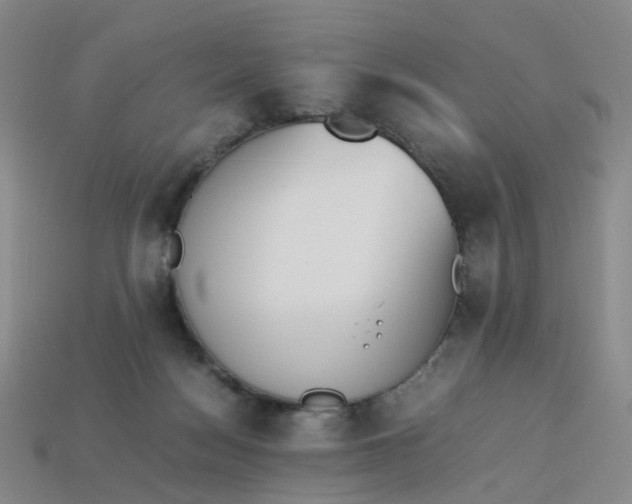 X0000113330172200910051153