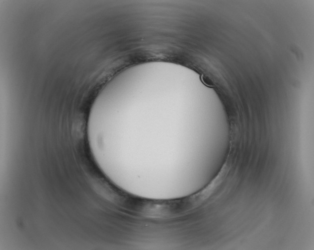 X0000113330174200910051153
