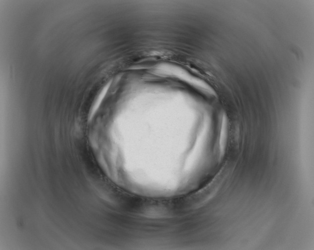 X0000113330175200910051153