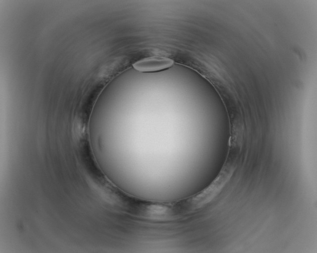 X0000113330176200910051153