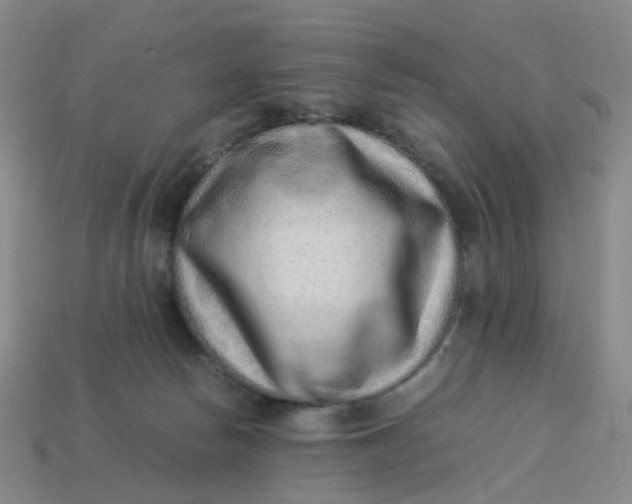 X0000113330178200910051153