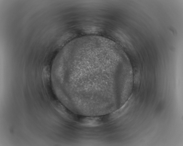 X0000113330179200910051154