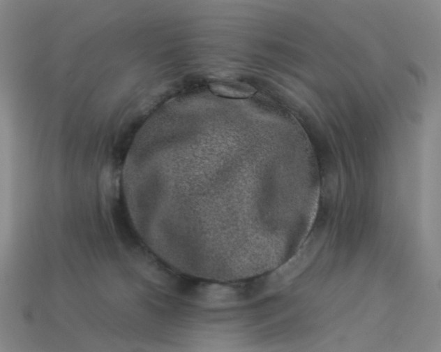 X0000113330180200910051154
