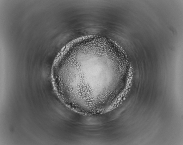 X0000113330181200910051154