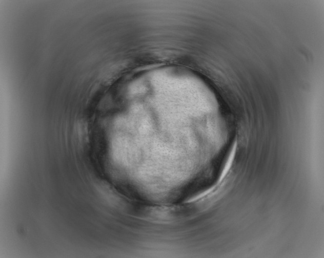 X0000113330182200910051154