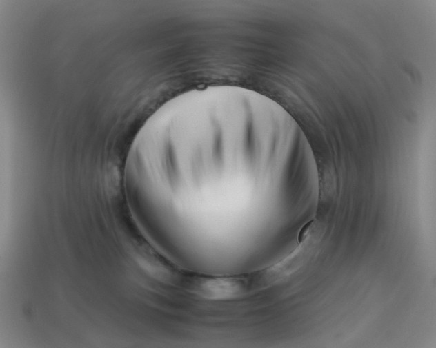 X0000113330183200910051154