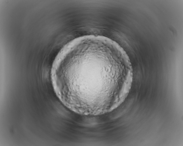 X0000113330185200910051154