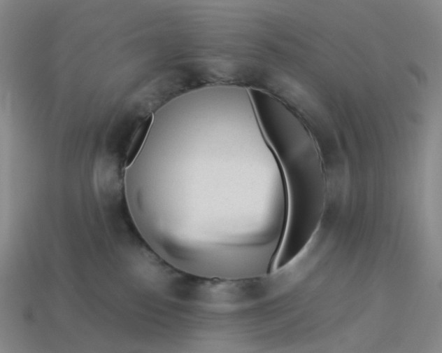 X0000113330186200910051154