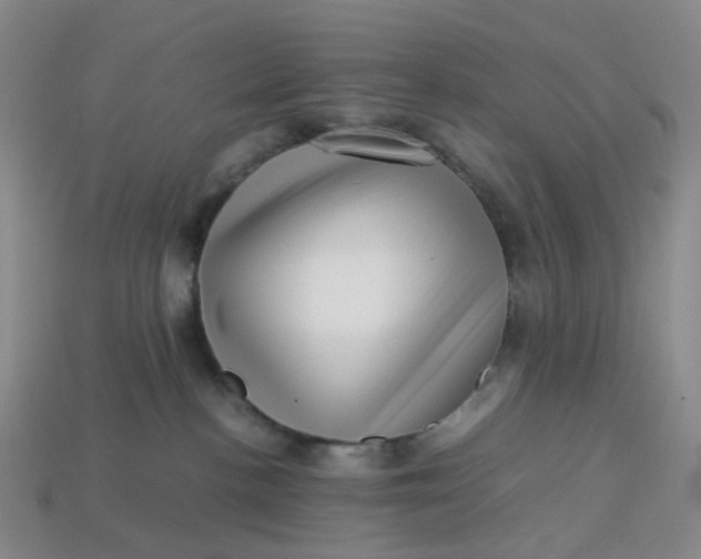 X0000113330188200910051154