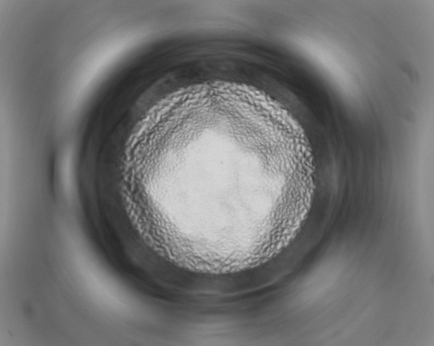 X0000113330189200910051154
