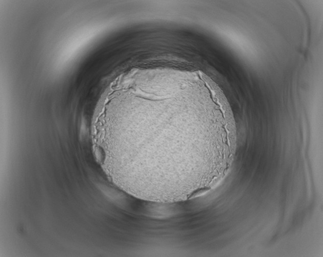 X0000113330191200910051154