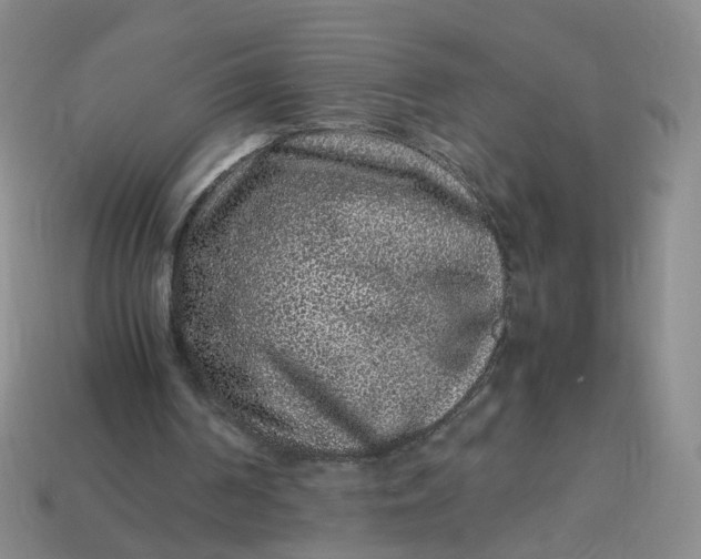X0000113330194200910051153