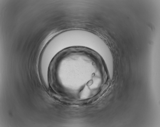 X0000113330195200910051153