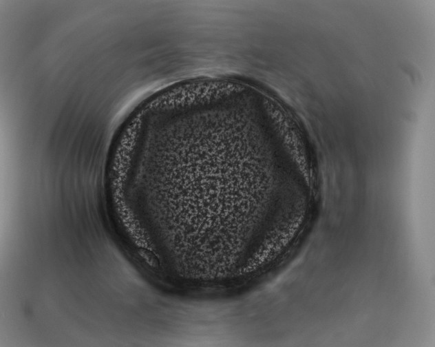 X0000113330196200910051153