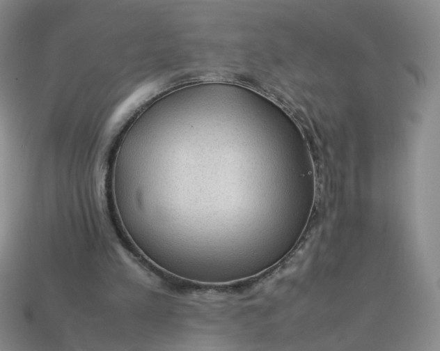 X0000113330197200910051153