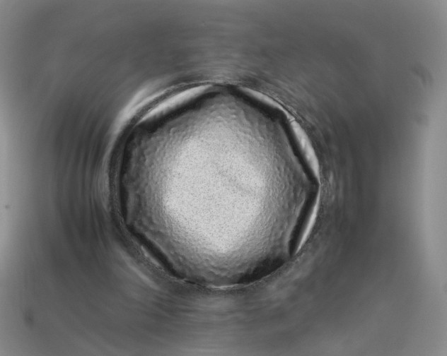 X0000113330198200910051153
