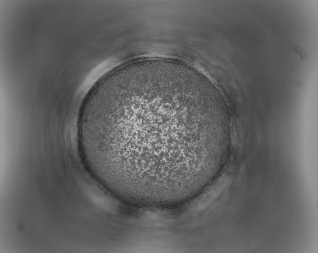 X0000113330199200910051153