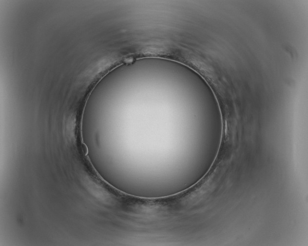 X0000113330201200910051153