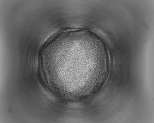 X0000113330202200910051153