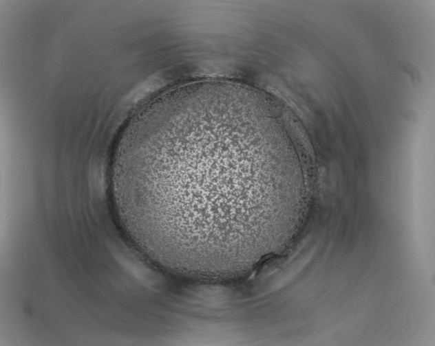 X0000113330203200910051153
