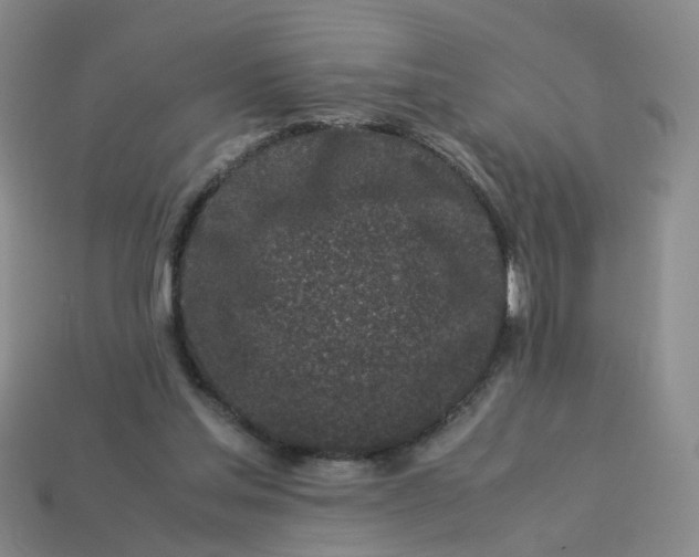 X0000113330205200910051153