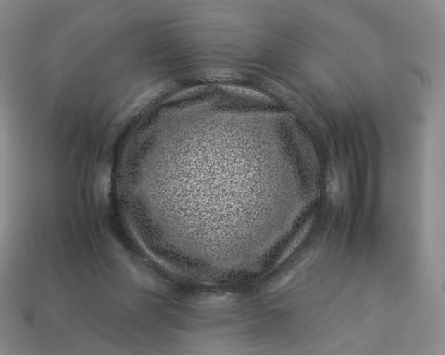 X0000113330206200910051153