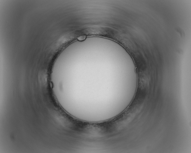 X0000113330207200910051153