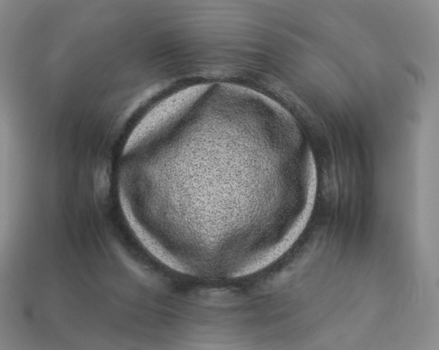 X0000113330208200910051153