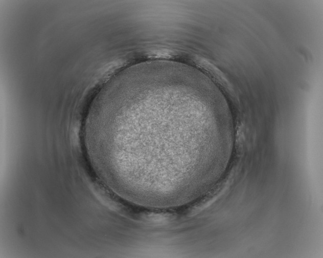 X0000113330209200910051153